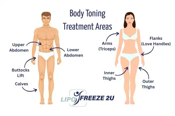 Graphic showing where you can have Body toning Treatment Fleet on your body